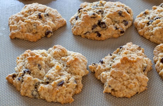 Home made chocolate chip cookies fresh from oven on a silicone baking sheet