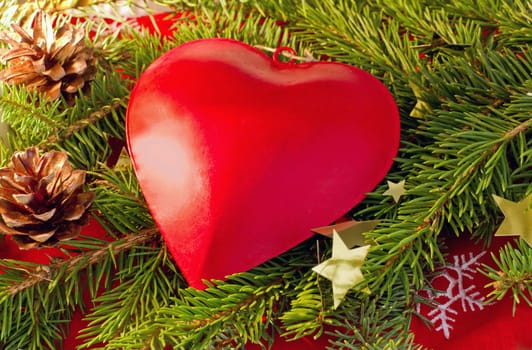 Red heart on a fir branch