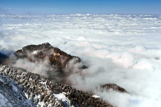 Bavaria