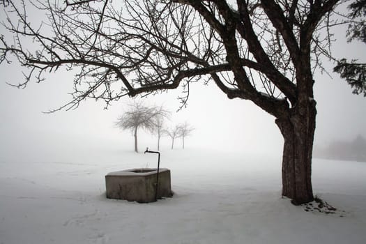 The fountain in the fog