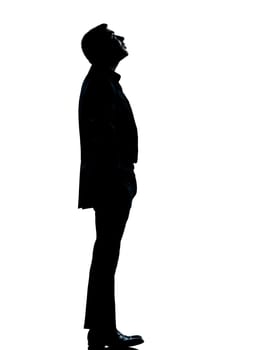 one caucasian business man silhouette standing looking up Full length in studio isolated on white background