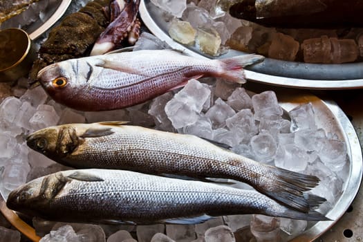 Fresh sea fishes closeup on ice