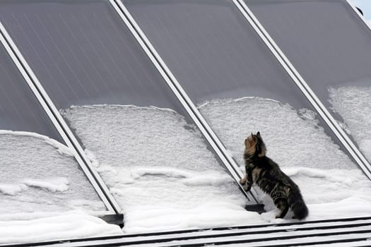 Does the solar system also work in winter?