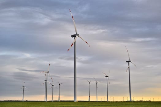 Wind farm