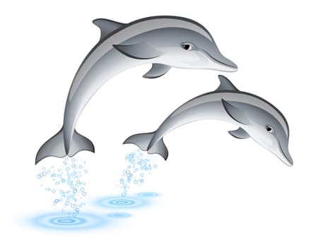 Two jumping dolphins