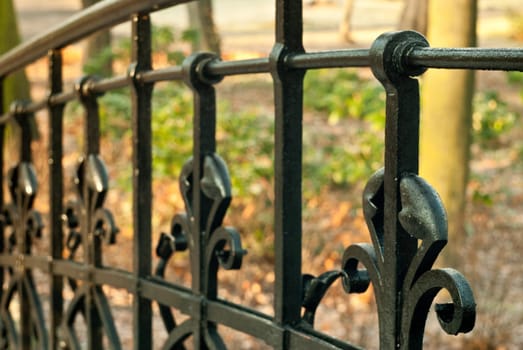black decorated fence,close-up macro and sunny autumn day