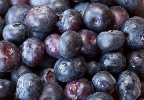 Fresh blueberries in a box taken in macro close up