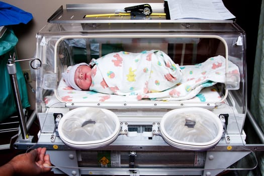 Cute sick newborn premature neonatal baby swaddled in bunny blanket placed in incubator chamber in hospital.