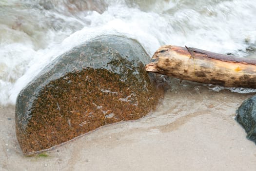 Branch and boulder on the beach of the Baltic Sea on Rügen