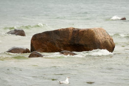 Some erratic boulders on the shore of the Baltic Sea on Rügen