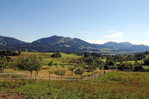 The meadows in front of the Allgäu Alps