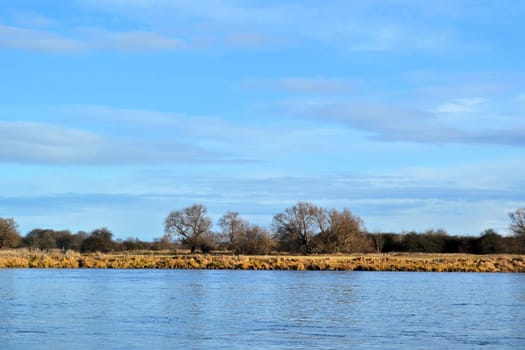 River Landscape