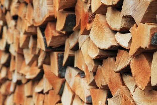 Firewood