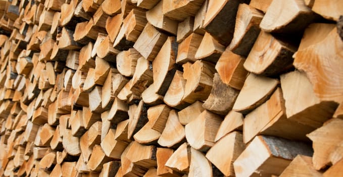 Firewood