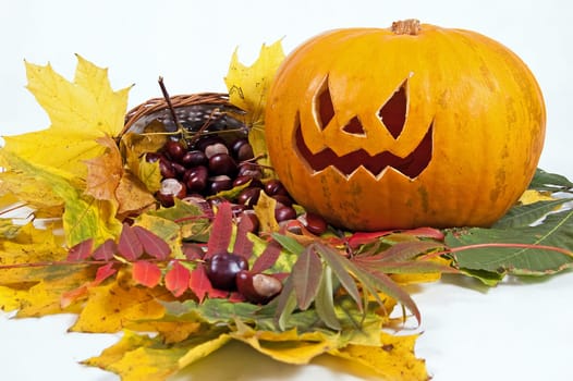 halloween pumpkin with autumn leaves on a white background