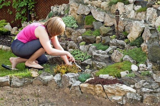 care over the rock garden in spring