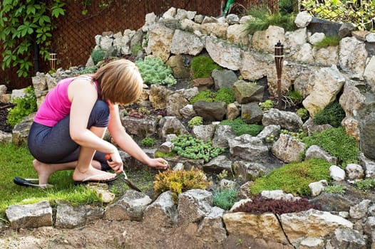 care over the rock garden in spring