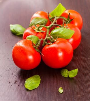 vine-ripened tomatoes with basil on a wooden plate