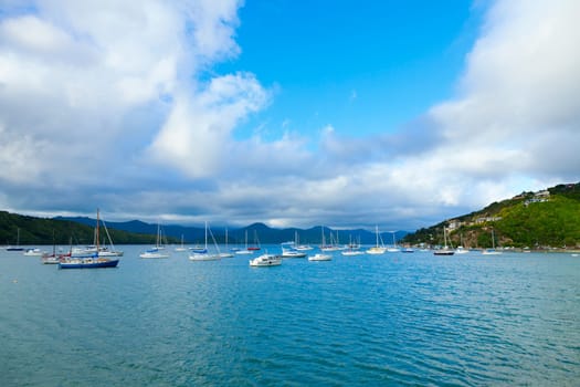 Moored boats in Picton Harbor in New Zealand&#039 s South Island