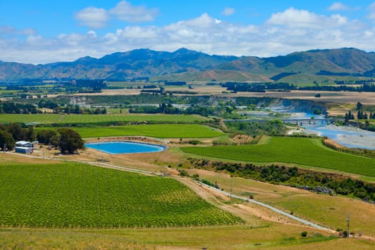 Scenic view of Marlborough wine region in the South Island of New Zealand