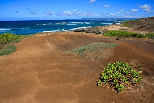 The Hawaiian coast on the Pacific Ocean