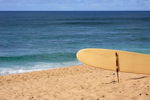 Surfboard on the beach in Hawaii