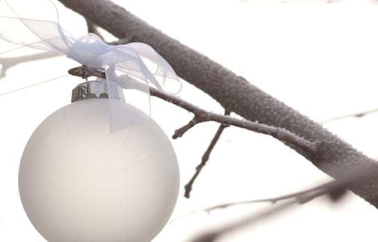 white christmas ornament hanging on a tree branch with white ribbon