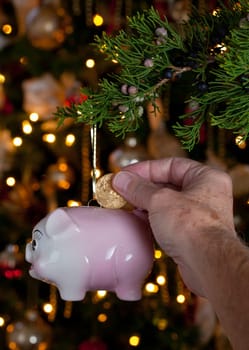Pink piggybank hanging from branch of christmas tree with a hand putting a gold coing into the savings bank