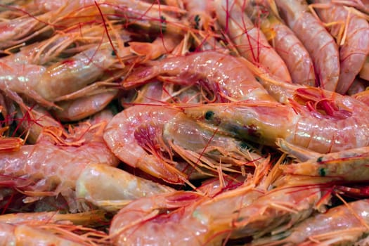 Fresh prawn for sale at the market