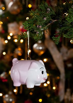 Pink piggybank hanging from branch of christmas tree