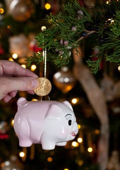 Pink piggybank hanging from branch of christmas tree with a hand putting a gold coing into the savings bank