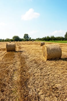 Landscape with blue cloudy sky and hay balls