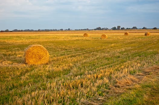 View of rolling balls at the setting sun