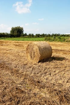 Landscape with blue cloudy sky and hay balls