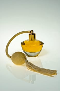 Ladies perfume bottle on a white background, where the sides are lightly shaded background to highlight the same bottle