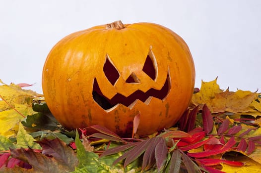 Halloween pumpkin with autumn leaves on white background