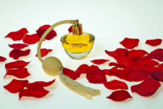 flacon of women&#039 s perfume surrounded with red petals of roses on the white background