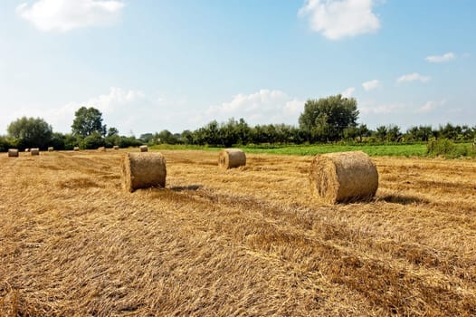 Landscape with blue cloudy sky and hay balls