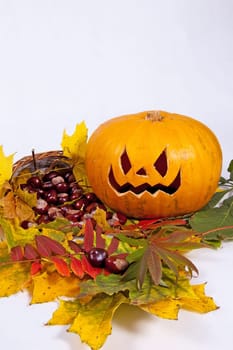 Halloween pumpkin with autumn leaves on white background