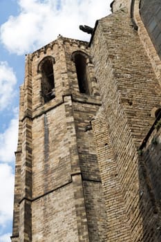 Gothic Barcelona Cathedral, side-octagonal tower, and one of the many gargoyles.