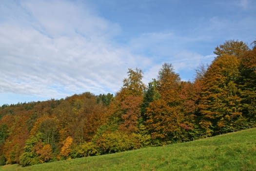 SchwarzWaldRand
