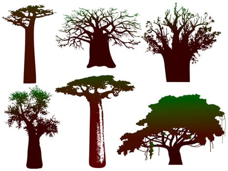 silhouettes of various African trees and bushes