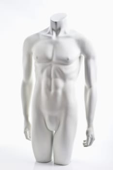 Men's Torso