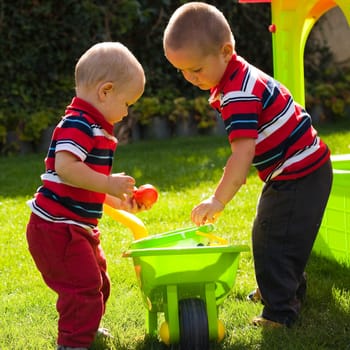 Little brothers playing in the garden.