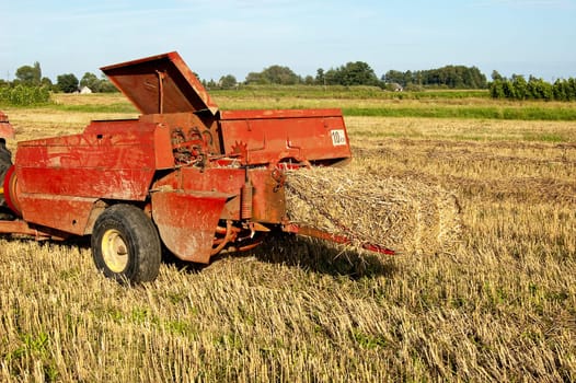 A combine harvester doing his work on a wheat field.