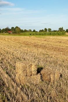 Landscape with blue cloudy sky and hay balls