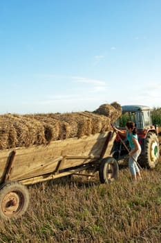 Folding sheaves of hay up to the old cart attached to the old tractor