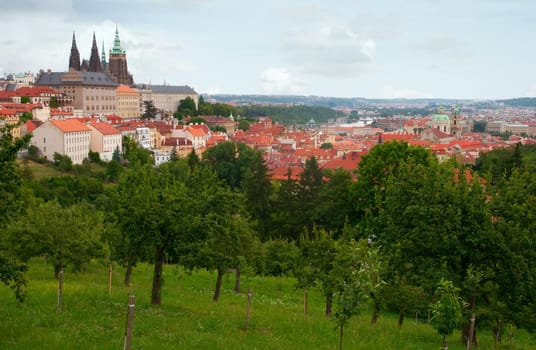Prague Castle With St. Vitus Cathedral, Czech Republic
