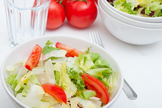 Salad of Fresh Green Vegetables in White Bowl