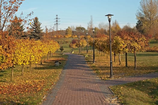 Autumn alley in fall park In Poland